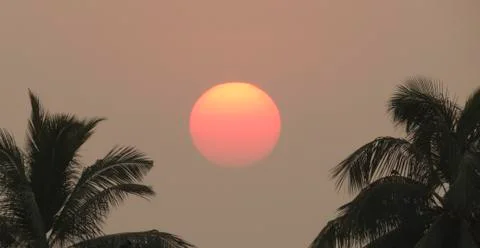 Sunset over the trees Stock Photos