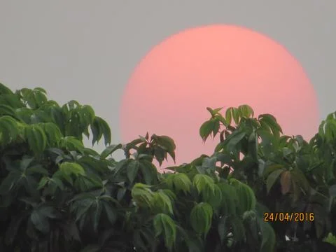 Sunset over the trees Stock Photos