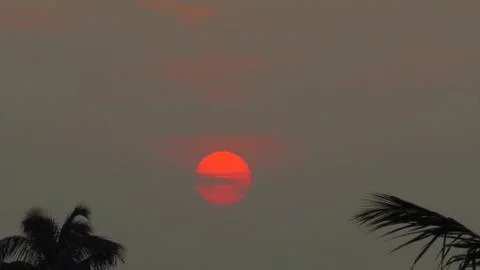 Sunset over the trees Stock Photos