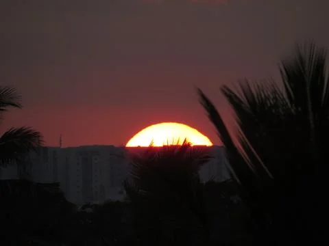 Sunset over the trees Stock Photos