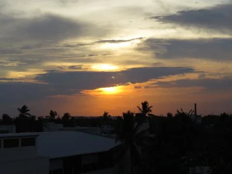 Sunset over the trees Stock Photos