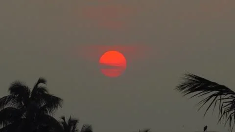 Sunset over the trees Stock Photos