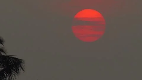 Sunset over the trees Stock Photos