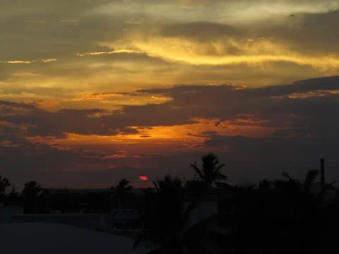 Sunset over the trees Stock Photos