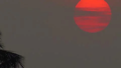 Sunset over the trees Stock Photos