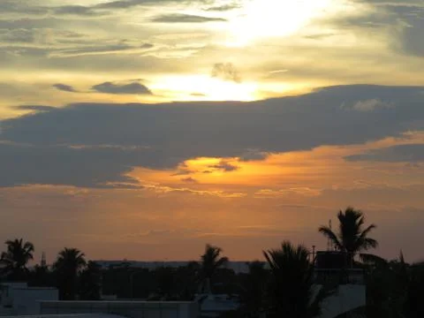Sunset over the trees Stock Photos