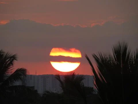 Sunset over the trees Stock Photos