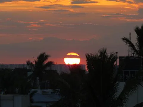 Sunset over the trees Stock Photos