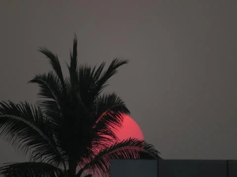 Sunset over the trees Stock Photos