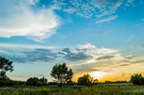 Sunset over the trees Stock Photos