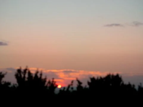 Sunset over trees. Stock Photos
