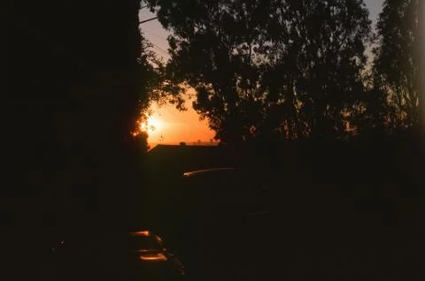 Sunset over Trees Stock Photos