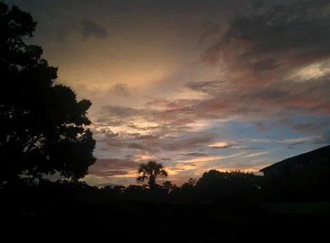 Sunset Over The Trees Stock Photos