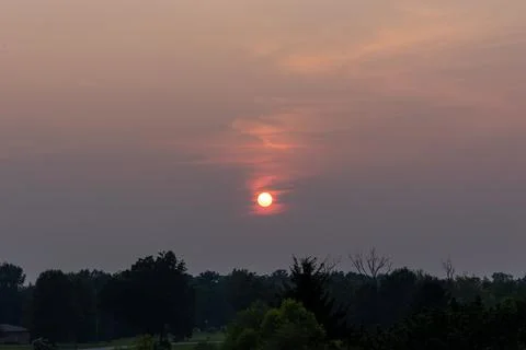 Sunset over trees Stock Photos