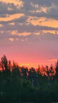 Sunset over trees with pink and orange sky clouds Stock Photos