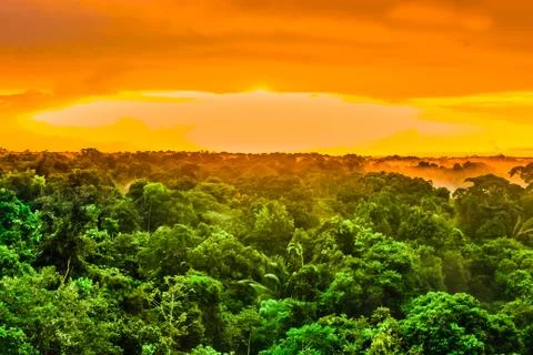 Sunset over the trees of the rain forest in Brazil Stock Photos