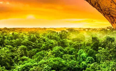 Sunset over the trees of the rain forest in Brazil Stock Photos