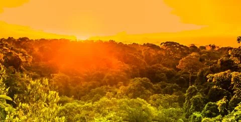 Sunset over the trees of the rain forest in Brazil Stock Photos