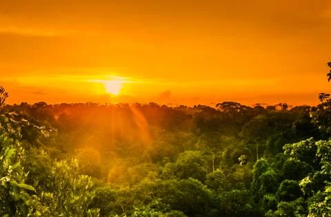 Sunset over the trees of the rain forest in Brazil Stock Photos