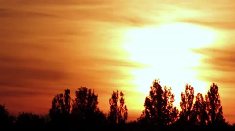 Sunset over the trees, rich colors of the sunset Stock Footage 25293159