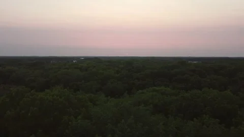 Sunset over the Trees Timelapse Видео 267443708