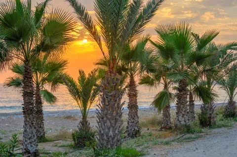 Sunset over tropical beach Stock Photos