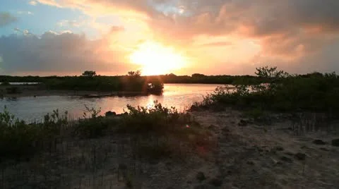Sunset over tropical marsh Video stock 10945060
