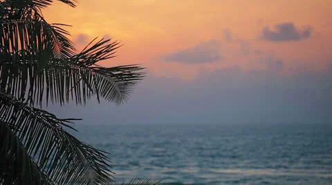 Sunset over the tropical ocean and palm Stock Footage 24987166