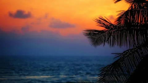 Sunset over the tropical ocean and palm Video stock 101727518