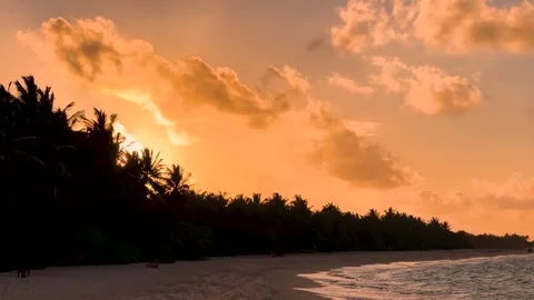 Sunset over a tropical palm tree beach with golden sky - Maldives Stock Footage 348067970