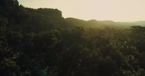 Sunset Over Tropical Rainforest with Dramatic Light and Shadows Stock-Footage 332270690