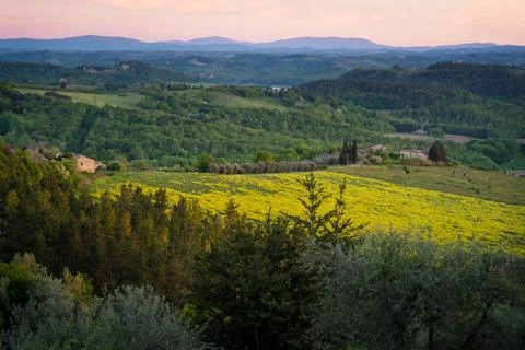 Sunset over the tuscan countryside with fields and rolling hills Stock Photos