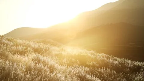 Sunset over the Valley Fields Illustrazione stock