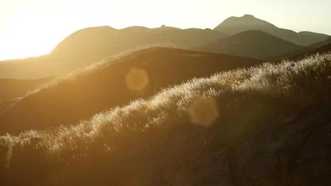 Sunset over the Valley Fields Stock Illustration