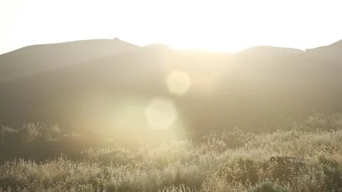 Sunset over the Valley Fields Stock Illustration