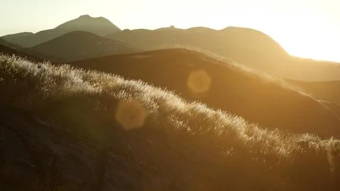 Sunset over the Valley Fields Stock Illustration