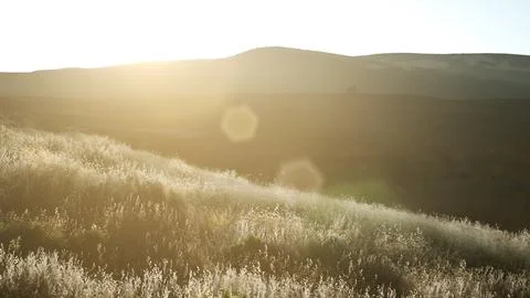 Sunset over the Valley Fields Stock Illustration