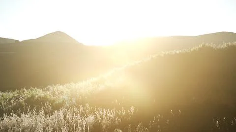 Sunset over the Valley Fields Stock Illustration
