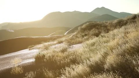 Sunset over the Valley Fields Stock Illustration
