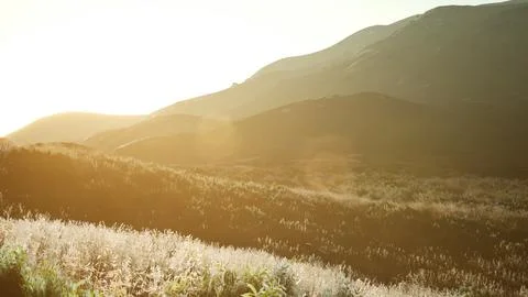 Sunset over the Valley Fields Illustrazione stock