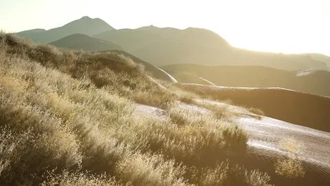 Sunset over the Valley Fields Stock Illustration