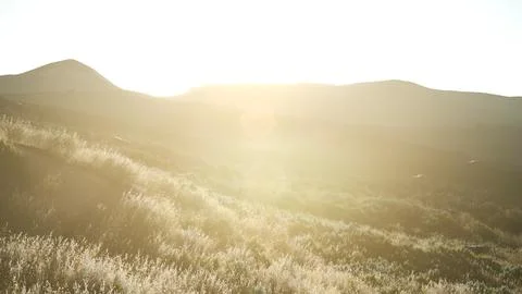 Sunset over the Valley Fields Stock Illustration