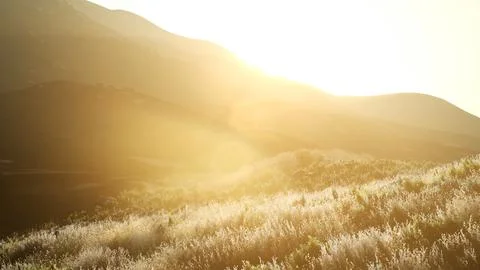 Sunset over the Valley Fields Stock Illustration