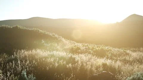 Sunset over the Valley Fields Stock Illustration