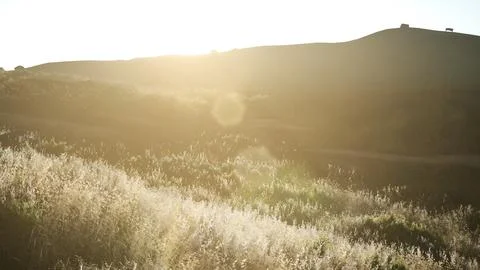 Sunset over the Valley Fields Stock Illustration