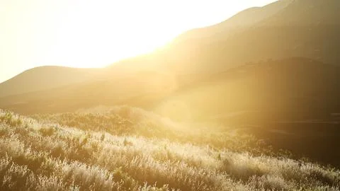 Sunset over the Valley Fields Stock Illustration