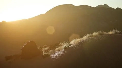 Sunset over the Valley Fields Stock Illustration
