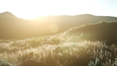 Sunset over the Valley Fields Stock Illustration