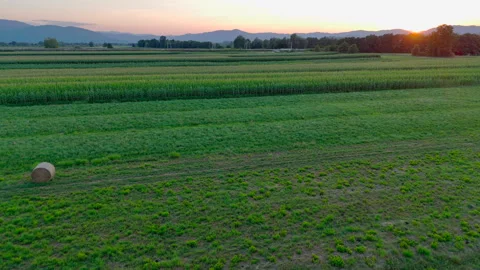 Sunset Over Verdant Green Fields Stock Footage 291714116