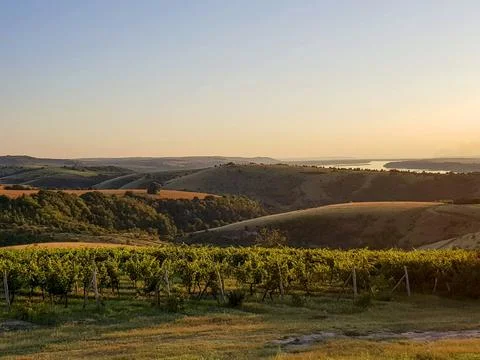 Sunset Over Vineyard and Rolling Hills With River in the Distance, Peaceful Stock Photos